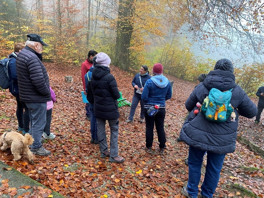 Stunde der Gartenvögel