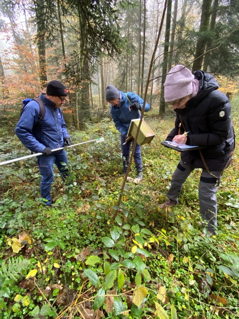 Stunde der Gartenvögel