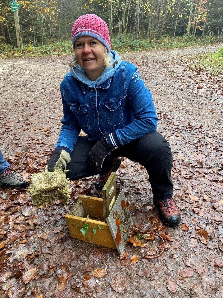 Stunde der Gartenvögel