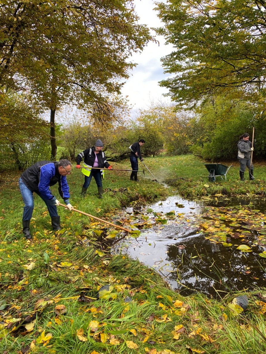 Biotop «Schürlifeld» Reinigung - 2025