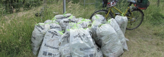 Den Neophyten geht’s an die Wurzeln