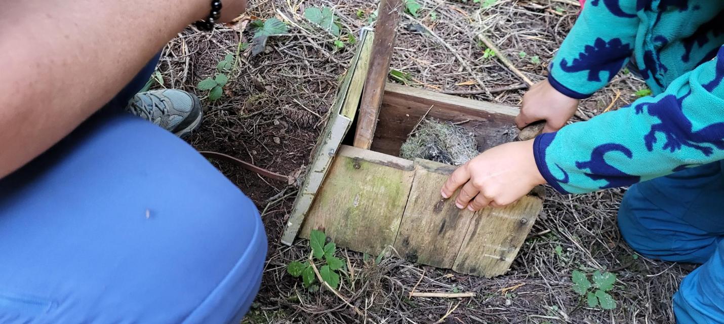 Nistkastenleerung 2024